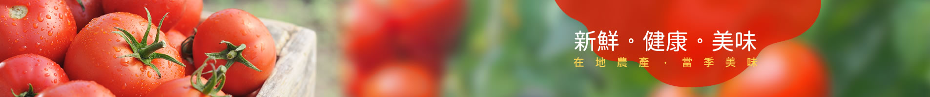 banner_s.jpg